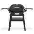Газовый гриль Weber Q 2200N с подставкой